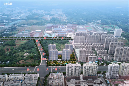 金地翰林1室1厅1卫41㎡付房